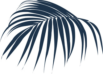 Hand drawn Tropical leaves illustrations element PNG file © NOTTY-STUDIO