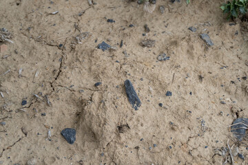 dried soil with pebbles, cracks and twigs
