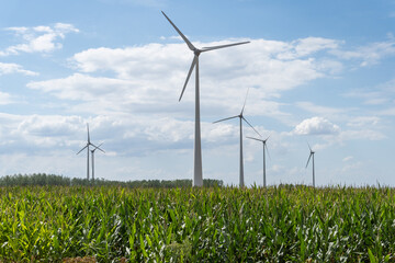 wind turbine in a wheat field