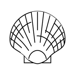 scallop sea shell beach line icon vector illustration