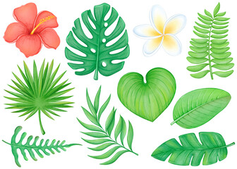 Watercolor tropical leaves and flowers