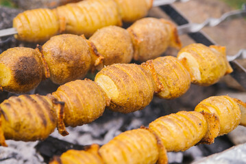 Whole potatoes in a rustic way on skewers. A delicious snack for a summer party with an outdoor barbecue or a picnic.Homemade food. Vegetarianism.