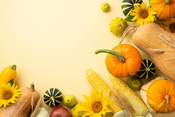 Thanksgiving day concept. Top view photo of vegetables pumpkins gourds pattypans maize zucchini pear and wheat on isolated beige background with copyspace