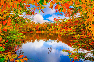 Autumn in lake. Autumn landscape at beautiful lake with colorful tree leaves. Colorful autumn leaves in stunning forest landscape. pastel colors of the autumn season. autumn background photo. 
