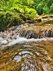 waterfall in the forest