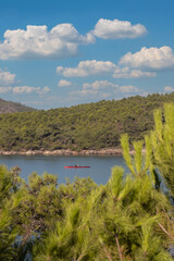 rowing team paddles on the tranquil sea. High quality photo