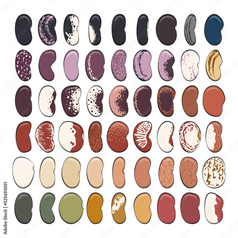 Poster set of color illustrations with green beans, kidney beans. isolated vector objects on a white backgr