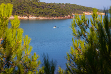 rowing team paddles on the tranquil sea. High quality photo