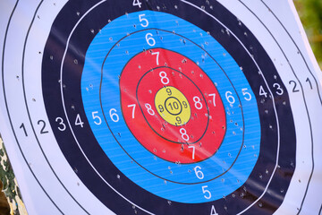 Archery targets, archery accuracy sports competitions.