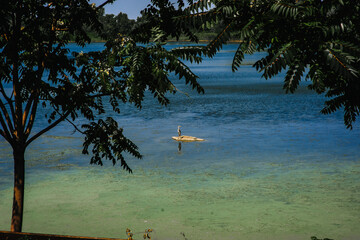 A lone heron sits on a stone in the middle of the sea in the water against the backdrop of beautiful nature. Photo of an animal.