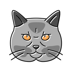 british shorthair cat cute pet color icon vector illustration