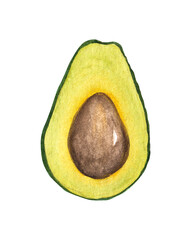 watercolor avocado