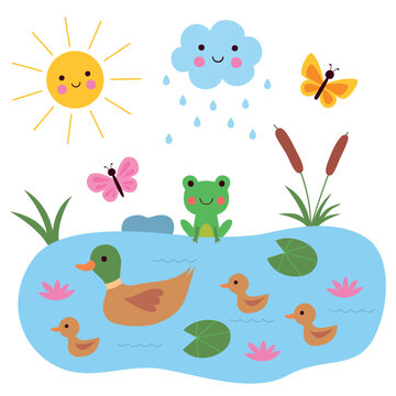 Summer pond, vector illustration