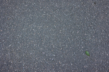 Asphalt texture background. Gray asphalt background.