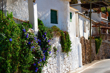 Fototapeta na wymiar Mediterranean architecture flowers village Spain