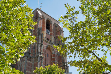 View on De Oldehove in summer behind trees under a blue sky. De Oldehove is an unfinished and...