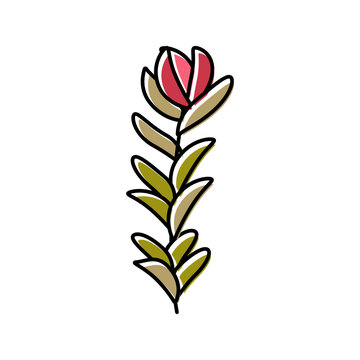 rotala rotundifolia seaweed color icon vector illustration