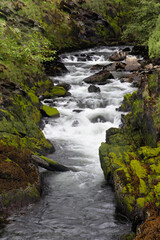 Rivers Ketchikan, Alaska