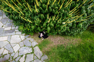 top view from above of sexy, young, woman lies dead outdoors on a path under a bush with flower bud...