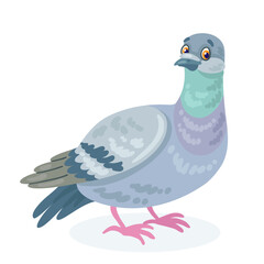 Funny gray dove. In cartoon style. Isolated on white background. Vector flat illustration. 