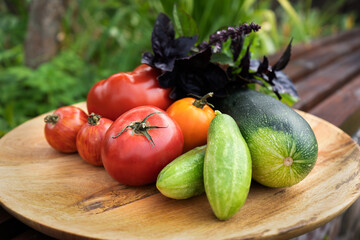 Autumn harvest on a wooden plate. Zucchini, tomatoes, cucumbers and basil leaves