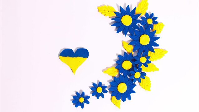 Plasticine heart with blue-yellow colors of Ukrainian flag decreases and increases on background of beautiful blue flowers with yellow petals on a white background. Stop motion animation. Claymotion