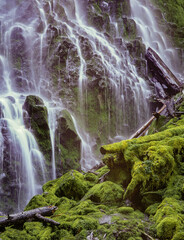 Proxie Falls with moss covered logs, near McKenzie Bridge, Oregon
