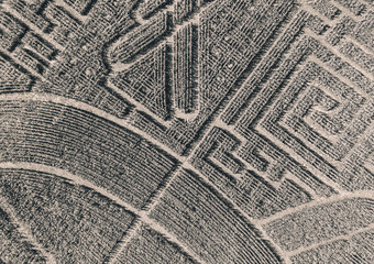 Maze formed in the corn field. Bird's-eye view. View from the drone. Monochrom. Background