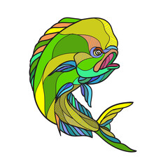 Mahi-Mahi Dorado Dolphin Fish Drawing