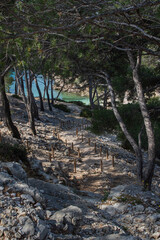 Mediterranean French France Calanque Tropical Fjord Beach Cliff Hike Cassis