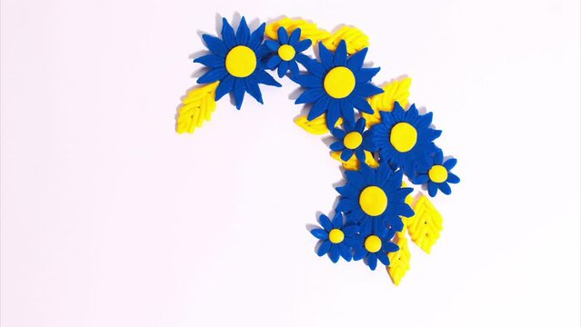Plasticine flowers and petals in the blue-yellow colors of the Ukrainian flag decrease and increase on a beautiful white background. Stop motion animation. Claymotion