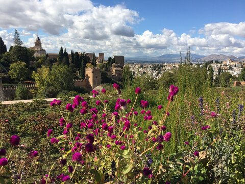 Jardin de fleurs avec en fonds l'Alhambra &agrave; Grenade sous un beau ciel bleu