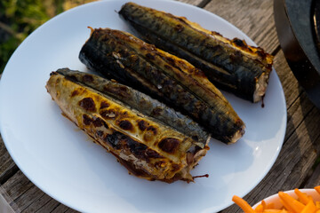 Three mackerel prepared on a grill in nature on a white plate. Selective focus.