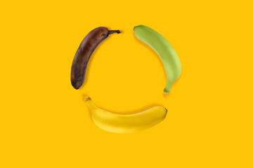 green banana to yellow and brown banana getting old, ripeness level fresh to rotten 