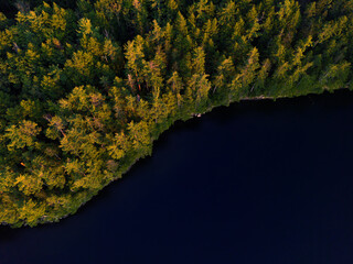 St George Lake Liberty Maine Trees and Water Medium Closeup Shot Looking Down 