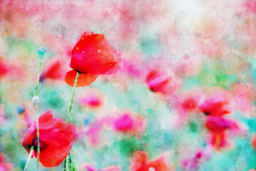 Abstract watercolor background with poppies