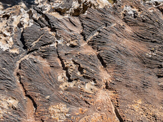 abrasions on limestone cliffs and surface changes and patterns in stones