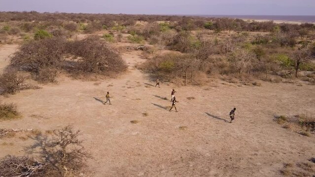 Aerial. Group of Hadza hunter-gatherer tribesmen out hunting with bow and arrows in a drought stricken landscape due to climate change.Tanzania