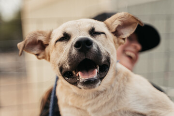 Smiling puppy being carried
