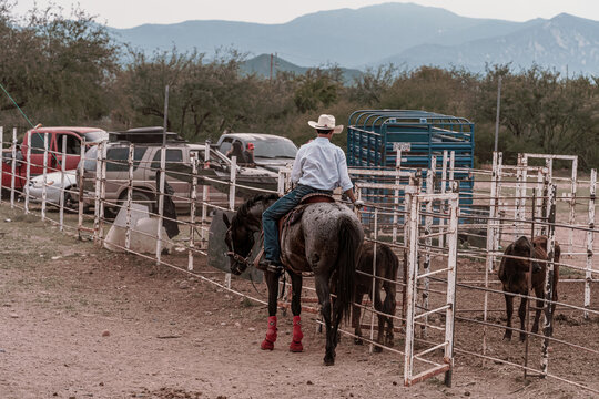 Cowboy