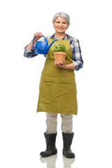 gardening, farming and old people concept - smiling senior woman in green garden apron and rubber...
