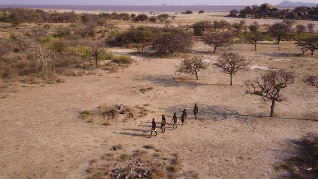 Aerial. Group of Hadza hunter-gatherer tribesmen out hunting with bow and arrows in a drought stricken landscape due to climate change.Tanzania