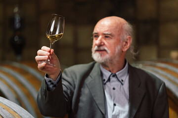 Senior graybeard Caucasian man tasting white wine in a wine cellar