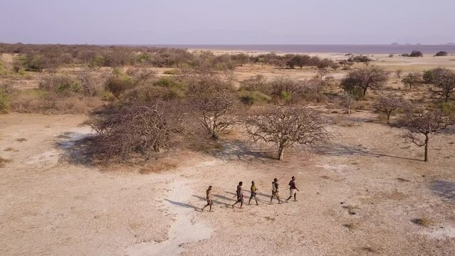 Aerial. Group of Hadza hunter-gatherer tribesmen out hunting with bow and arrows in a drought stricken landscape due to climate change.Tanzania