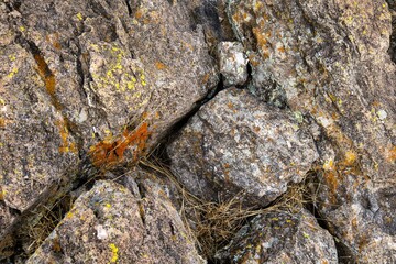 Mossy red rock texture background