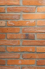 Fototapeta premium Construction bricks texture background red