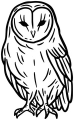 Owl Bird Hand Drawn illustration