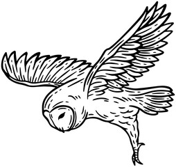Owl Bird Hand Drawn illustration
