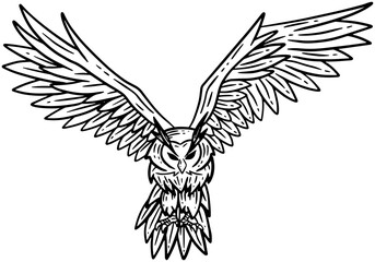 Owl Bird Hand Drawn illustration