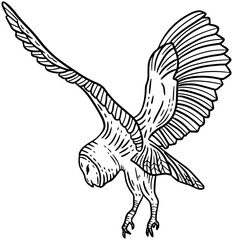 Owl Bird Hand Drawn illustration